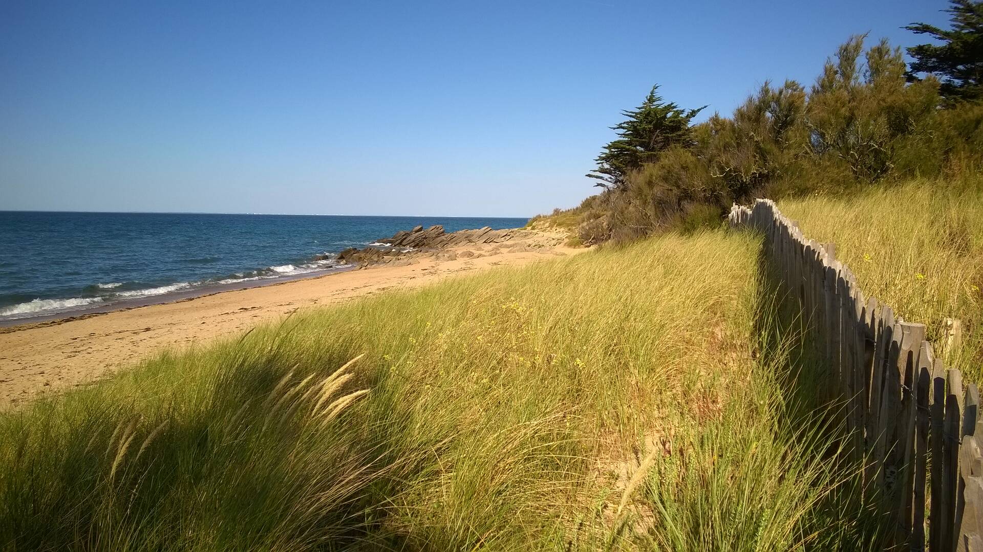 Côte Est, Ile d'Yeu © F Guerineau