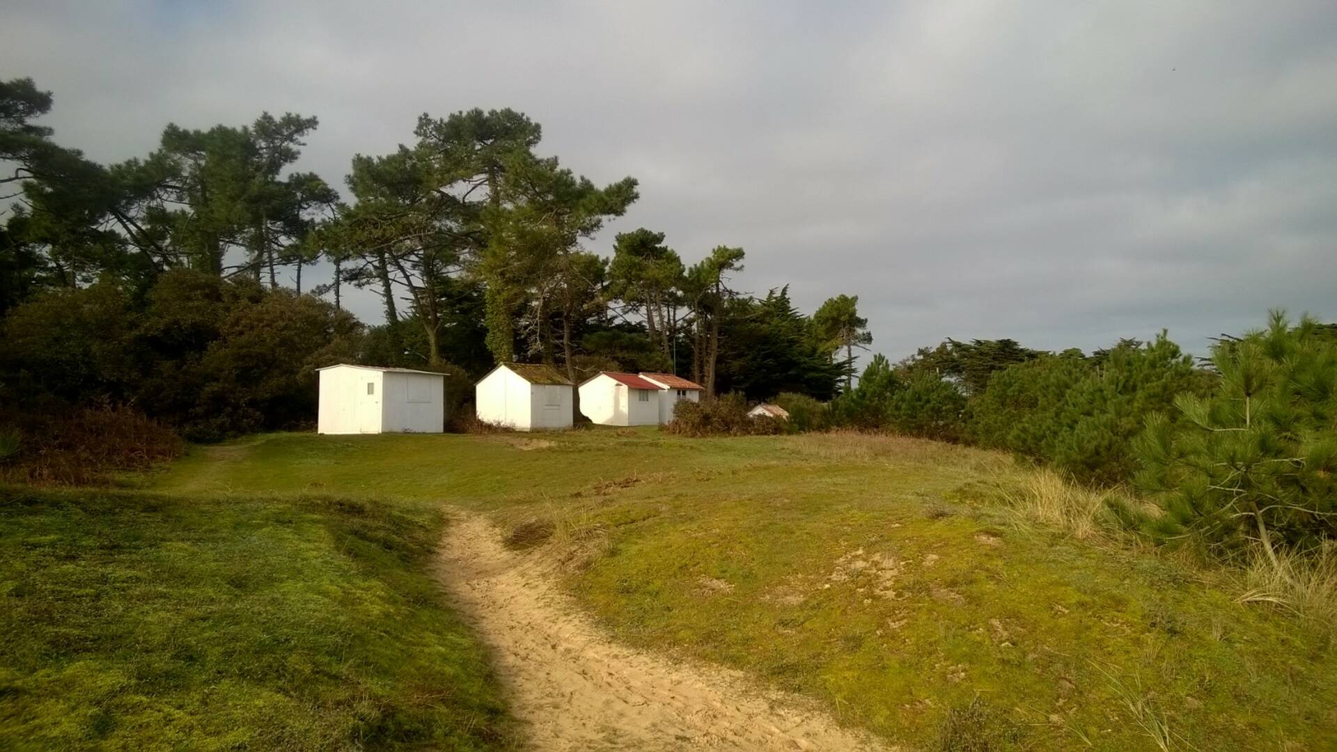 Côte Est, Ile d'Yeu © F Guerineau