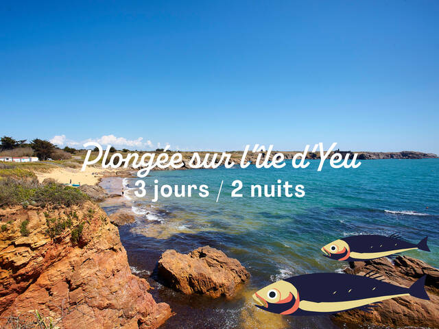 Plongée sur l'ile d'Yeu