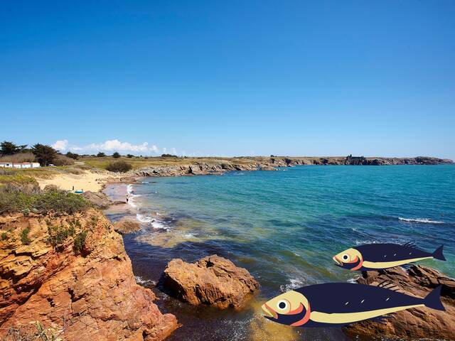 Plongée sur L'île d'Yeu : 3 jours / 2 nuits